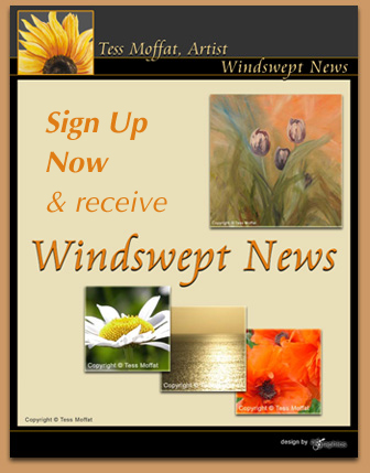 Sign up for Windswept News