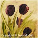 "Tulips"
