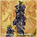 "Delphiniums"